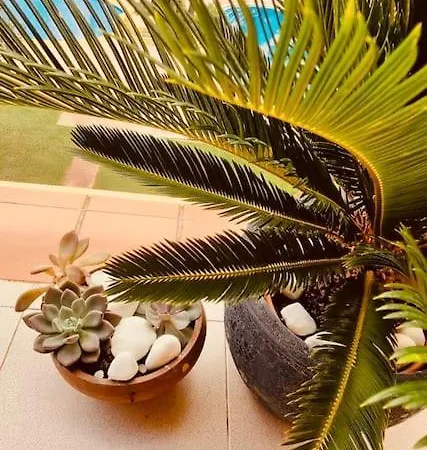 Bright Ideal For Long Dénia