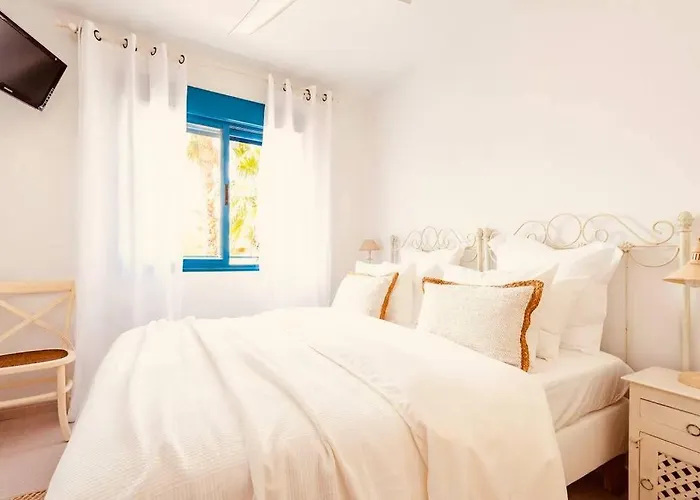 Bright Ideal For Long