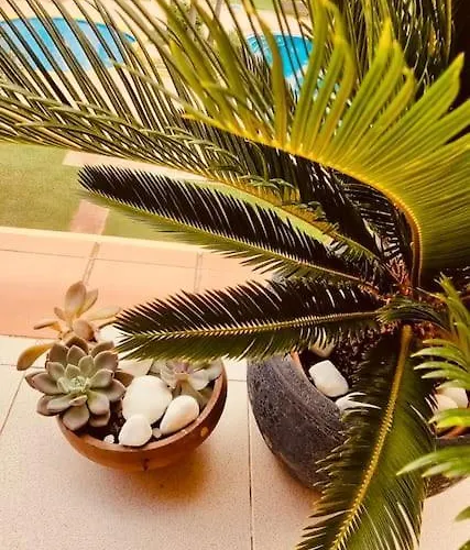 Bright Ideal For Long Denia